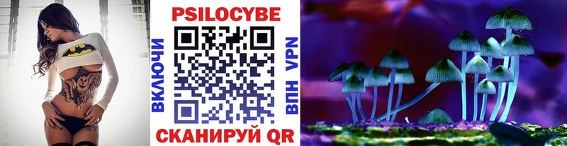 Купить закладки  Мелеуз  Галлюциногенные грибы ЛСД 